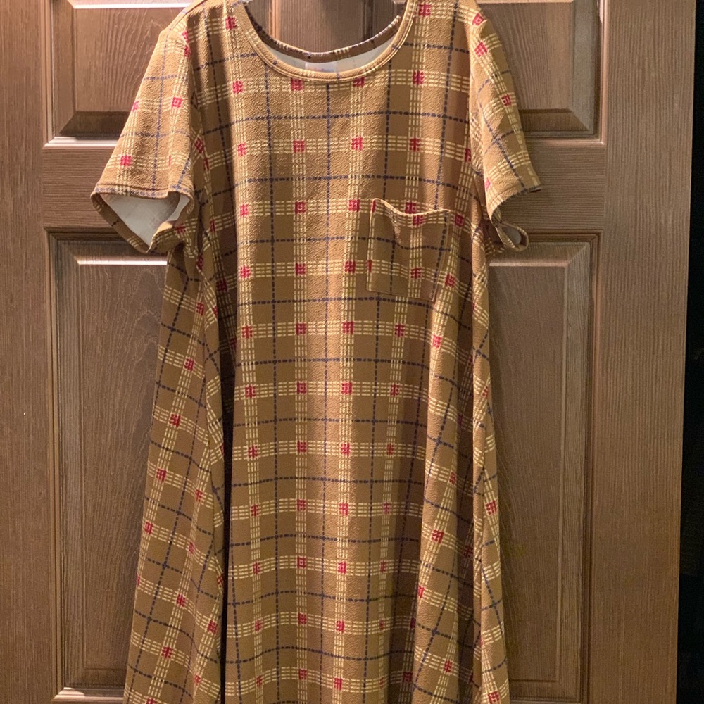 LuLaRoe Carly Dress